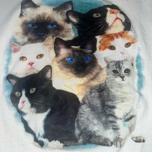 cider oversized cat tshirt